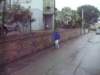 _8160_small.jpg