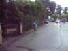 _8161_small.jpg