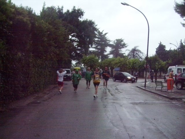 _8163.jpg