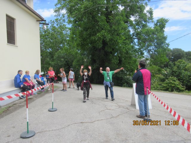 img_7506.jpg