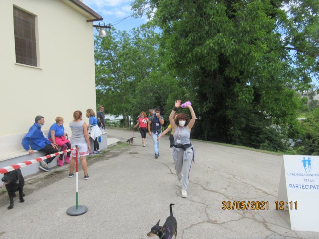 img_7517.jpg