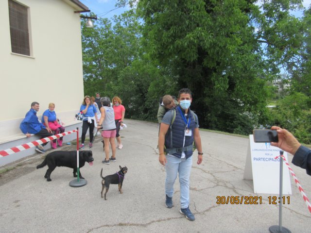 img_7519.jpg