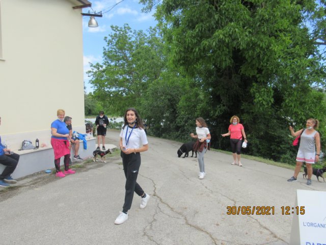 img_7521.jpg