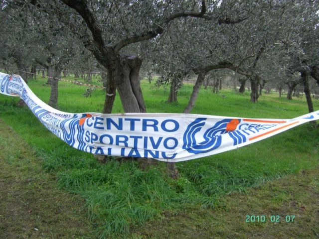 ccsi0702_003.jpg