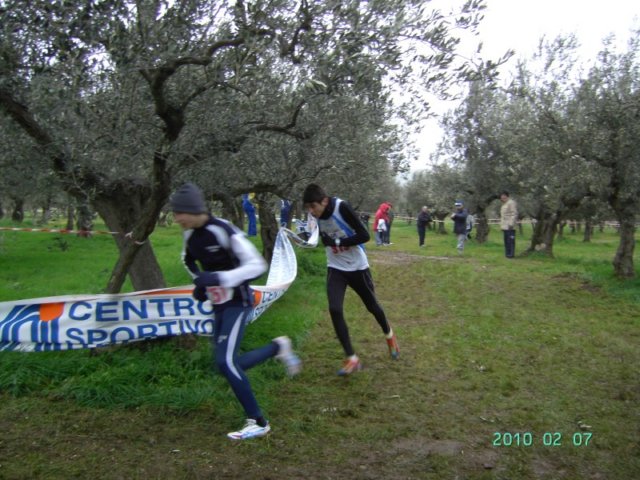 ccsi0702_008.jpg