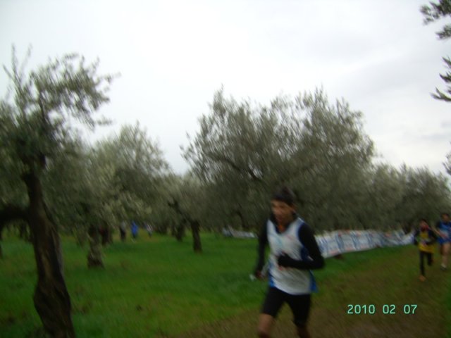 ccsi0702_051.jpg