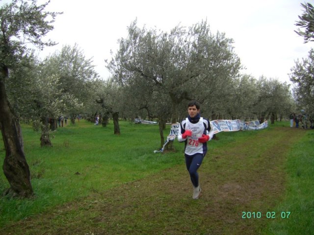 ccsi0702_055.jpg