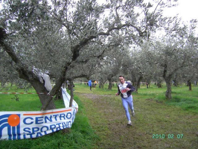 ccsi0702_094.jpg