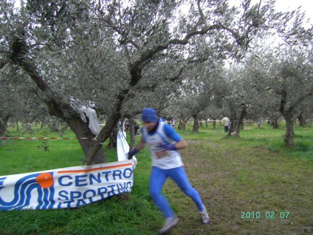 ccsi0702_096.jpg