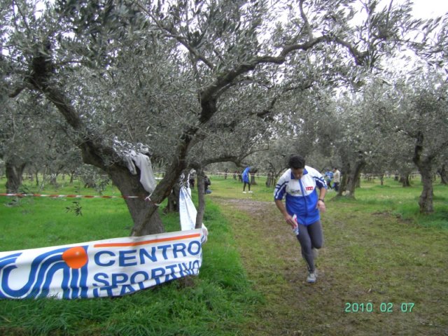 ccsi0702_099.jpg