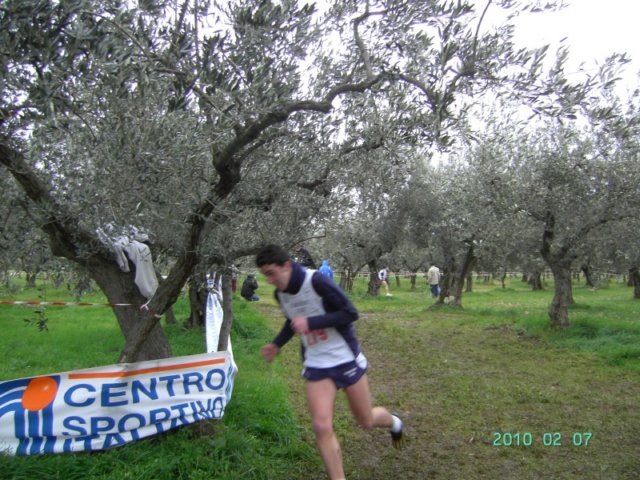 ccsi0702_106.jpg
