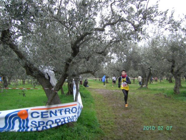 ccsi0702_108.jpg