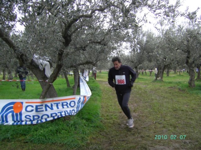 ccsi0702_129.jpg