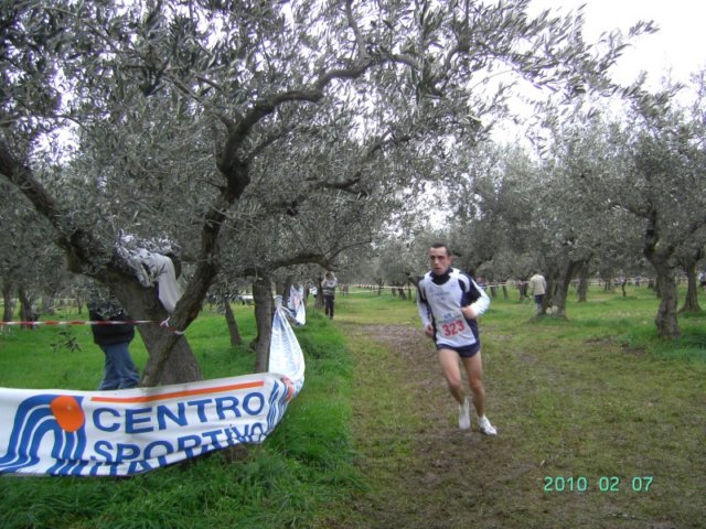 ccsi0702_131.jpg