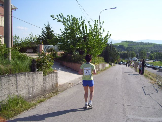 _6413.jpg