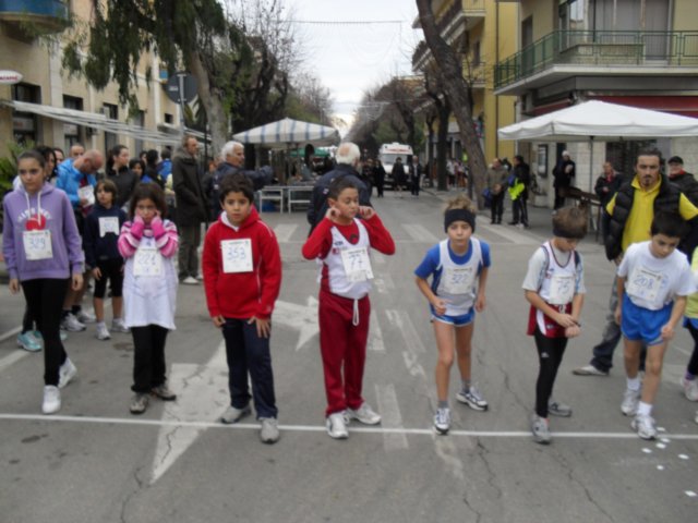 sdc11268.jpg