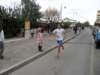 sdc11286_small.jpg