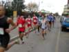sdc11290_small.jpg