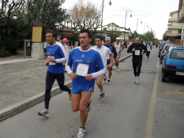 sdc11308.jpg