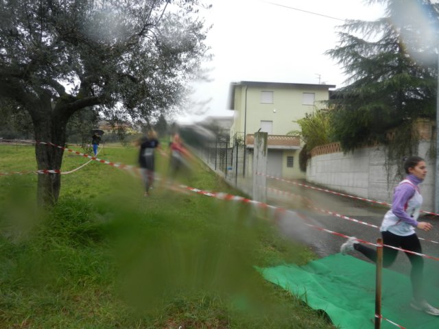 photo19.jpg