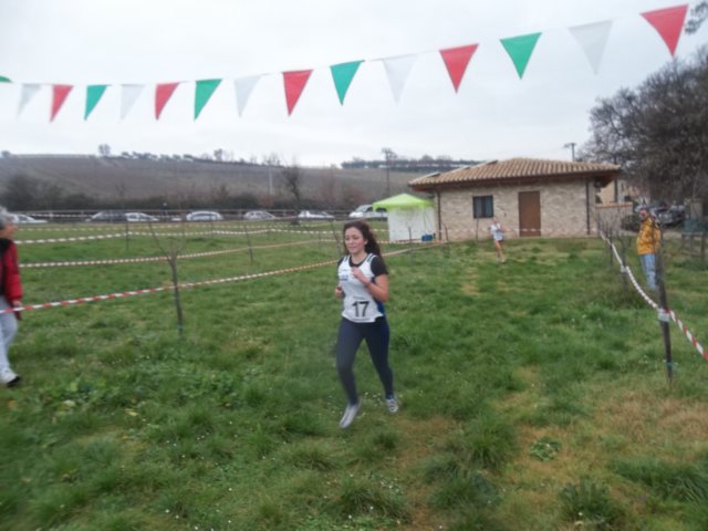 photo15.jpg
