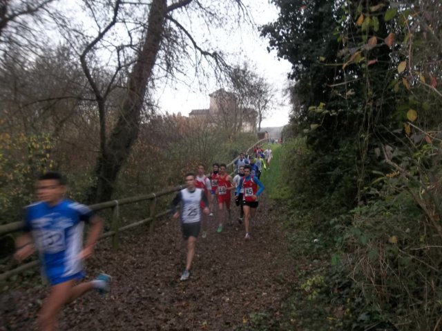 photo17.jpg