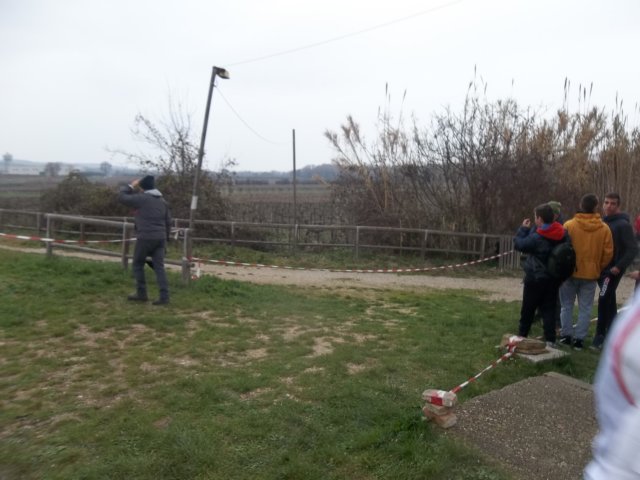 photo34.jpg