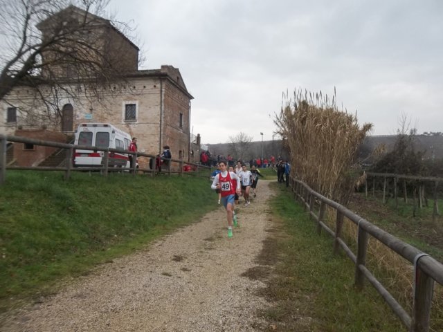photo37.jpg
