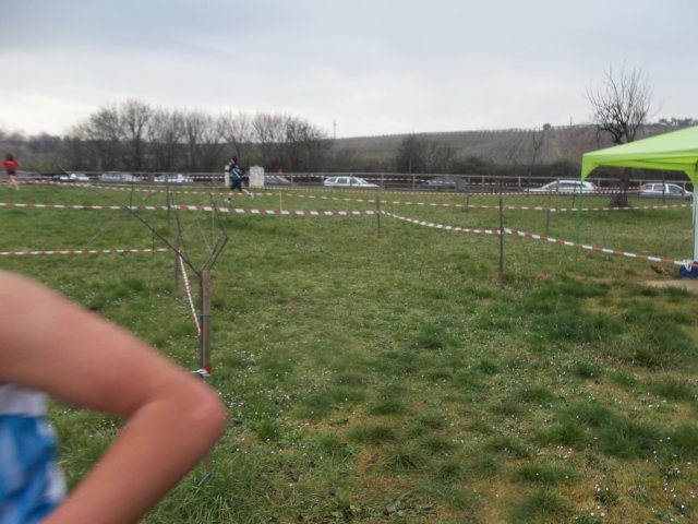 photo39.jpg