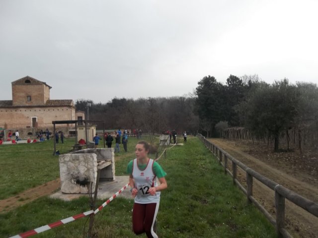 photo9.jpg