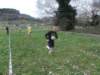 photo17_small.jpg