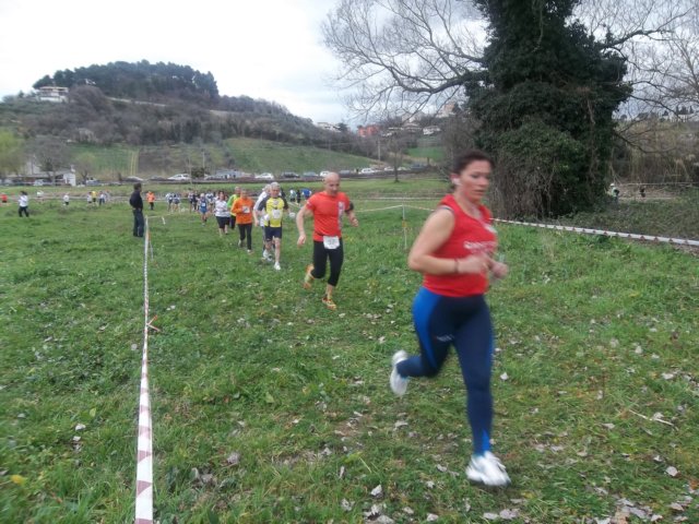 photo22.jpg
