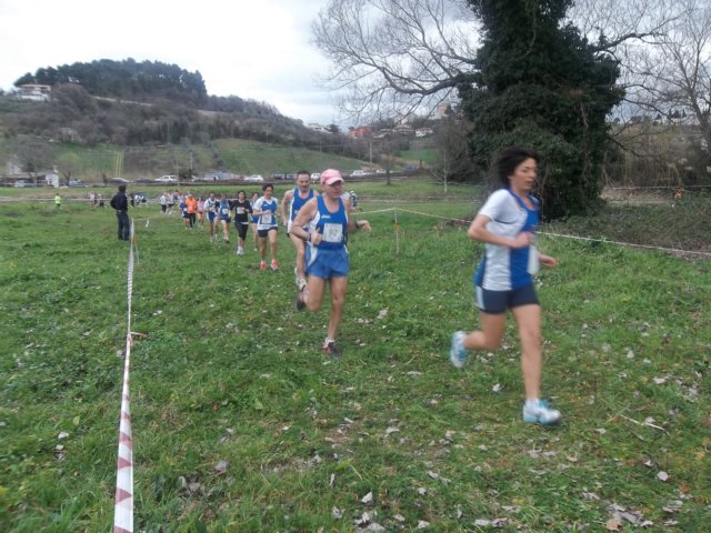 photo24.jpg