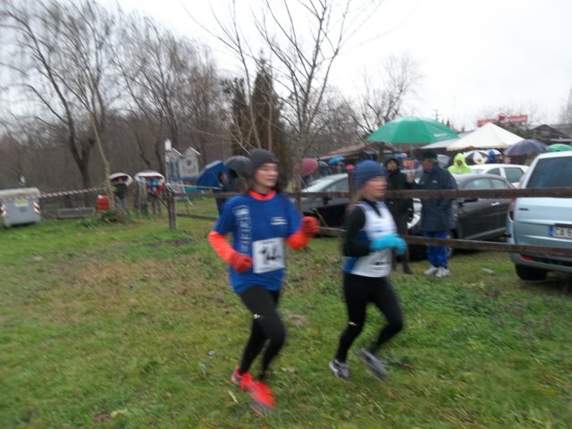 photo7.jpg