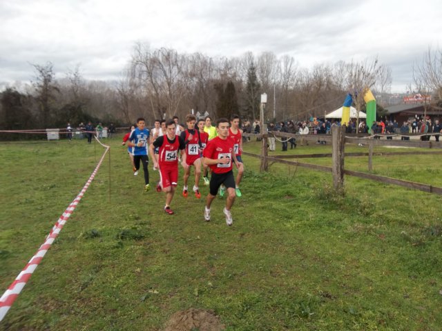 photo15.jpg