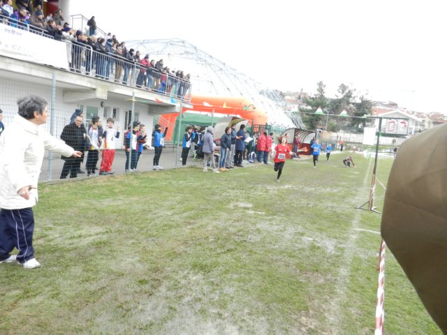 photo23.jpg