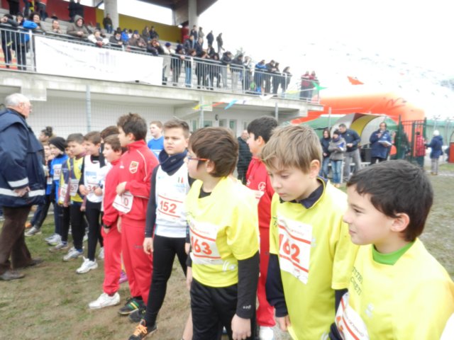 photo47.jpg