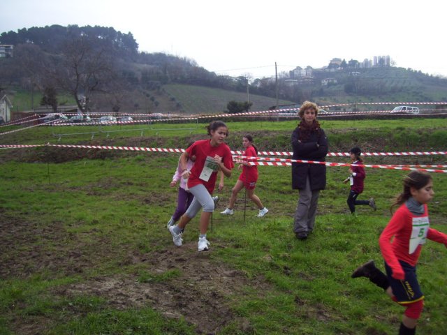 _4009.jpg