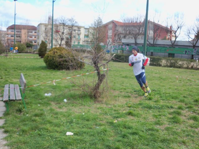 photo39.jpg