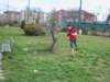 photo41_small.jpg
