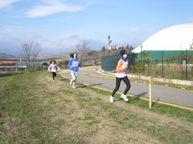 _3959.jpg