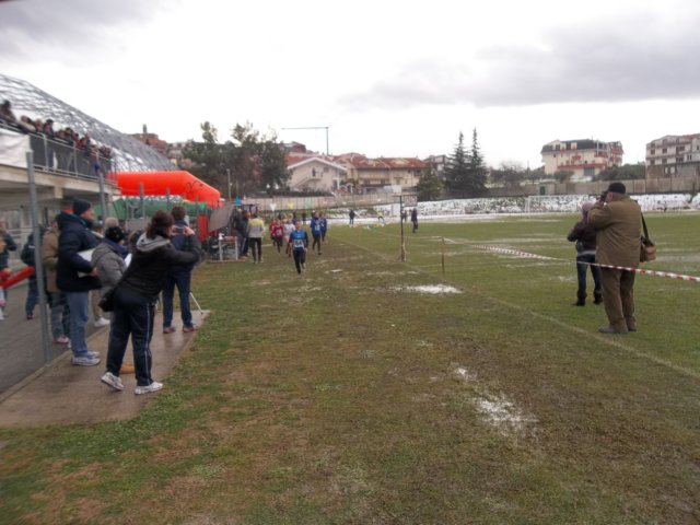 photo63.jpg