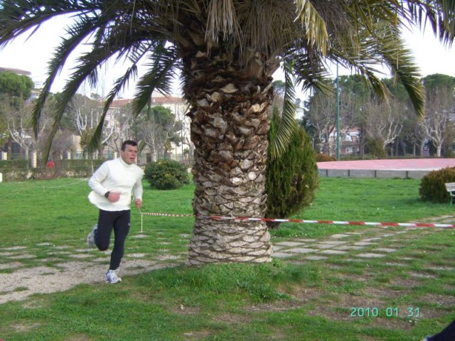 cross310110_001.jpg