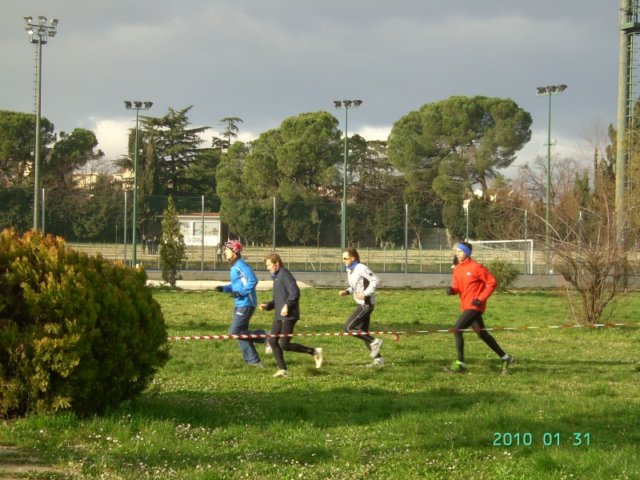 cross310110_004.jpg