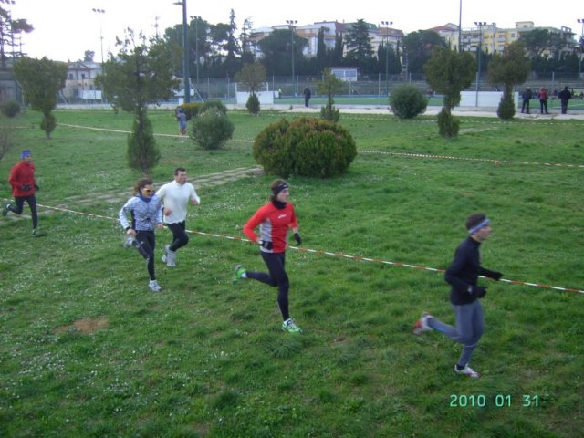 cross310110_022.jpg