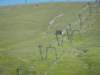 photo25_small.jpg