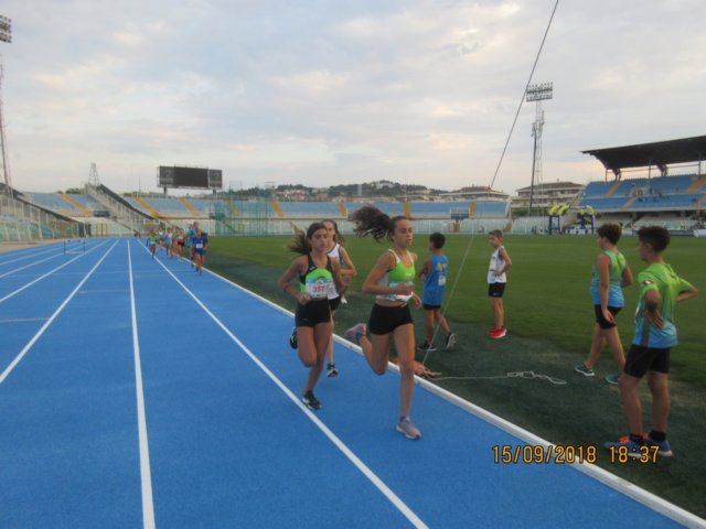 photo8.jpg