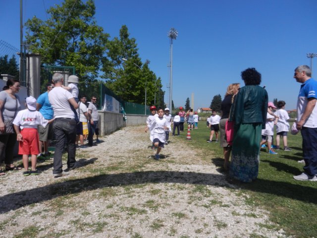 photo17.jpg