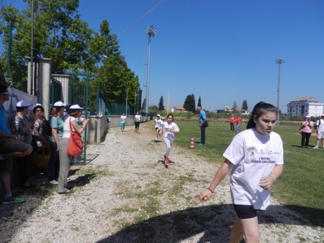 photo51.jpg