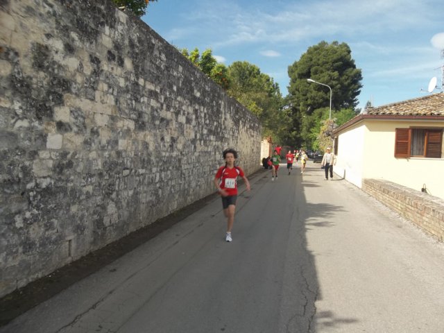 photo26.jpg